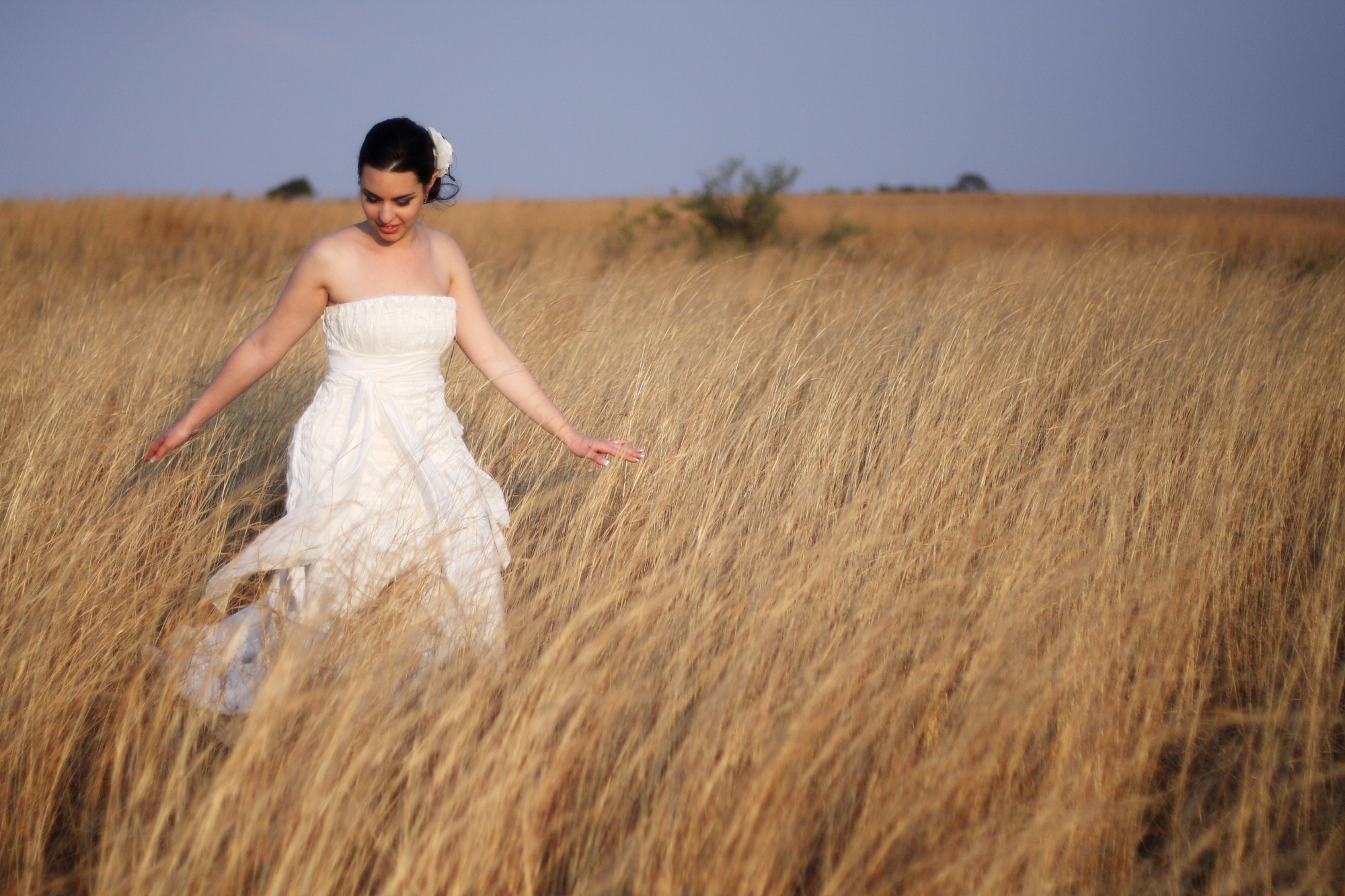 Bride walking through golden grass